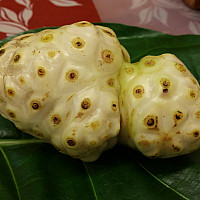 Premium Organic Noni